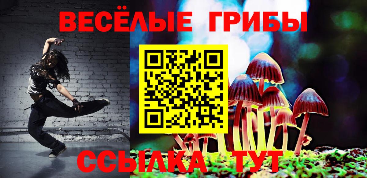Псилоцибиновые грибы GOLDEN TEACHER Каменск-Шахтинский