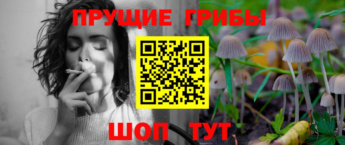 Псилоцибиновые грибы мицелий  Вход с VPN  Каменск-Шахтинский 